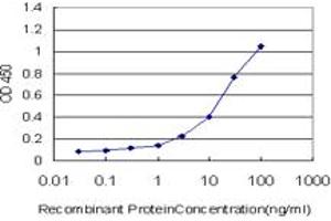 Detection limit for recombinant GST tagged KCTD4 is approximately 0. (KCTD4 anticorps  (AA 1-259))