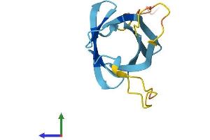 AlphaFold protein structure predicition of Mouse Recombinant Tcl1b2 Protein, UniprotID P56841