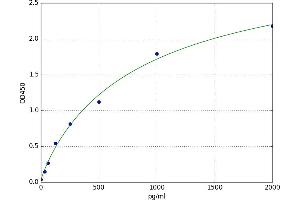 Serum Response Factor (SRF) ELISA Kit