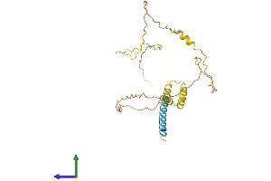 AlphaFold protein structure predicition of Human Recombinant SYNDIG1 Protein, UniprotID Q9H7V2