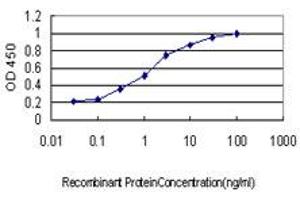 Detection limit for recombinant GST tagged DLX4 is approximately 0. (DLX4 anticorps  (AA 1-98))