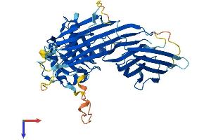 AlphaFold protein structure predicition of Mouse Recombinant Ap4m1 Protein, UniprotID Q9JKC7