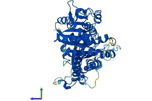 AlphaFold protein structure predicition of Human Recombinant TUBG1 Protein, UniprotID P23258