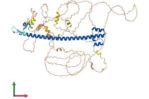 AlphaFold protein structure predicition of Human Recombinant NFE2L3 Protein, UniprotID Q9Y4A8