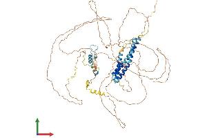 AlphaFold protein structure predicition of Mouse Recombinant Cep68 Protein, UniprotID Q8C0D9