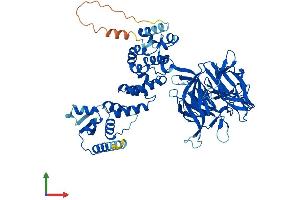 AlphaFold protein structure predicition of Human Recombinant KLHL40 Protein, UniprotID Q2TBA0