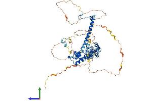 AlphaFold protein structure predicition of Human Recombinant RCOR2 Protein, UniprotID Q8IZ40