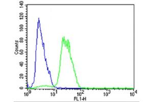 Flow cytometric analysis of SH-SY5Y cells using Mouse Mapk11 Antibody (N-term)(green, Cat(ABIN657841 and ABIN2846803)) compared to an isotype control of rabbit IgG(blue).