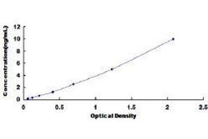 ELISA image for Inositol Polyphosphate-4-Phosphatase, Type I, 107kDa (INPP4A) ELISA Kit (ABIN481727)
