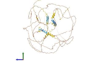 AlphaFold protein structure predicition of Human Recombinant TRDN Protein, UniprotID Q13061