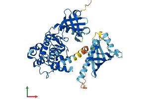 AlphaFold protein structure predicition of Human Recombinant CAMK2A Protein, UniprotID Q9UQM7