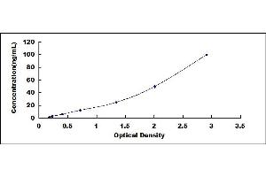 Typical standard curve (PRB1 Kit ELISA)