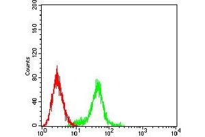 Flow cytometric analysis of Ramos cells using CD129 mouse mAb (green) and negative control (red).