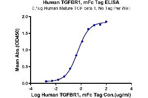 Immobilized Human Mature TGF beta 1 at 1 μg/mL (100 μL/Well).