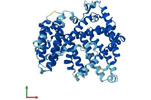 AlphaFold protein structure predicition of Mouse Recombinant Hhatl Protein, UniprotID Q9D1G3