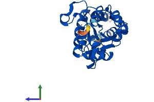 AlphaFold protein structure predicition of Human Recombinant HDHD3 Protein, UniprotID Q9BSH5