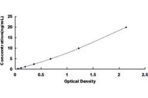 Typical standard curve (DPEP3 Kit ELISA)