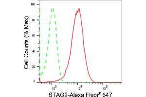 Flow cytometric analysis of STAG2 expression in HepG2 cells using STAG2 antibody (ABIN7800974), 1:2,000). (Recombinant STAG2 anticorps)