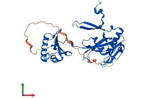 AlphaFold protein structure predicition of Human Recombinant NUDT6 Protein, UniprotID P53370