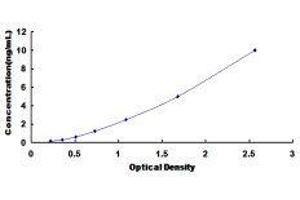 Formyl Peptide Receptor 2 (FPR2) ELISA Kit