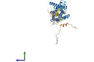 AlphaFold protein structure predicition of Human Recombinant HTR7 Protein, UniprotID P34969