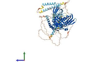 AlphaFold protein structure predicition of Mouse Recombinant Osbpl5 Protein, UniprotID Q9ER64