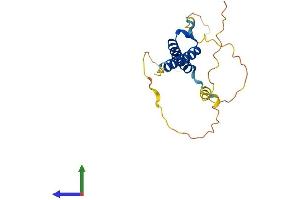 AlphaFold protein structure predicition of Mouse Recombinant Msgn1 Protein, UniprotID Q9JK54