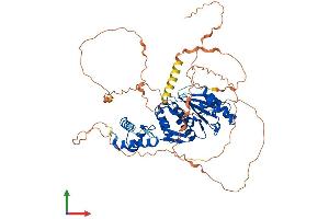 AlphaFold protein structure predicition of Human Recombinant SENP3 Protein, UniprotID Q9H4L4