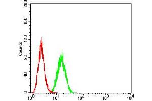 Flow cytometric analysis of Hela cells using GRIN2A mouse mAb (green) and negative control (red).