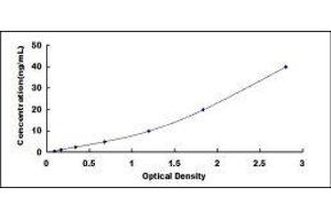 delta-Like 1 (DLL1) ELISA Kit