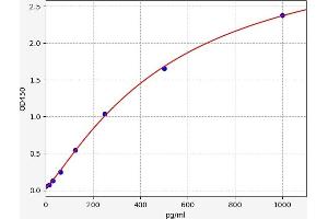 Typical standard curve