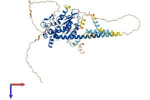 AlphaFold protein structure predicition of Mouse Recombinant Hs6st2 Protein, UniprotID Q80UW0