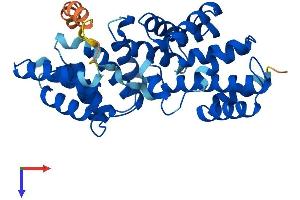 AlphaFold protein structure predicition of Mouse Recombinant Lrp2bp Protein, UniprotID Q9D4C6