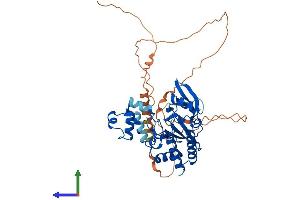 AlphaFold protein structure predicition of Mouse Recombinant Itpka Protein, UniprotID Q8R071