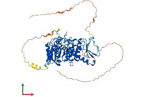 AlphaFold protein structure predicition of Human Recombinant CDC14B Protein, UniprotID O60729