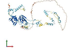AlphaFold protein structure predicition of Mouse Recombinant Tsen54 Protein, UniprotID Q8C2A2