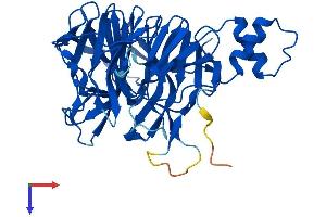 AlphaFold protein structure predicition of Mouse Recombinant Klhdc3 Protein, UniprotID Q8VEM9
