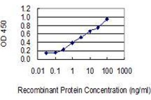 anti-Zinc Finger Protein 500 (ZNF500) (AA 372-480) antibody
