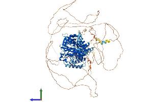 AlphaFold protein structure predicition of Human Recombinant PTPN21 Protein, UniprotID Q16825