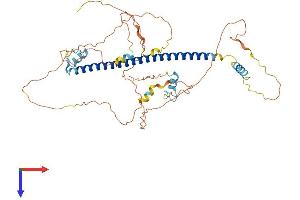 AlphaFold protein structure predicition of Human Recombinant CREB3L3 Protein, UniprotID Q68CJ9