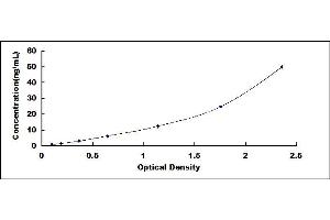Typical standard curve
