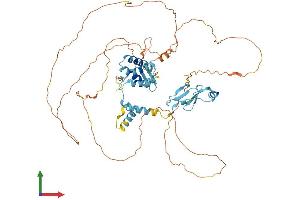 AlphaFold protein structure predicition of Mouse Recombinant Med26 Protein, UniprotID Q7TN02