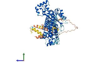 AlphaFold protein structure predicition of Human Recombinant ZBED5 Protein, UniprotID Q49AG3