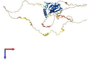 AlphaFold protein structure predicition of Human Recombinant SH2D2A Protein, UniprotID Q9NP31