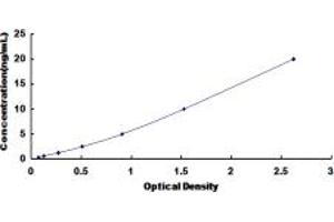 BCL2-Associated X Protein (BAX) ELISA Kit