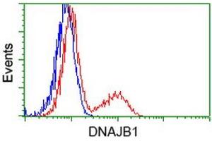 HEK293T cells transfected with either RC201762 overexpress plasmid (Red) or empty vector control plasmid (Blue) were immunostained by anti-DNAJB1 antibody (ABIN2454060), and then analyzed by flow cytometry. (DNAJB1 anticorps)