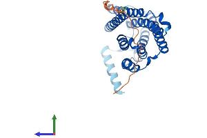 AlphaFold protein structure predicition of Human Recombinant ELOVL2 Protein, UniprotID Q9NXB9