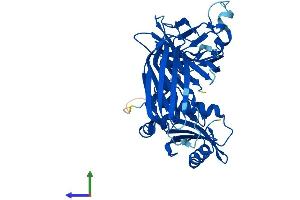 AlphaFold protein structure predicition of Mouse Recombinant Ap1m2 Protein, UniprotID Q9WVP1