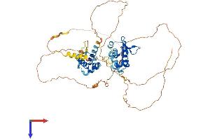 AlphaFold protein structure predicition of Mouse Recombinant Etv6 Protein, UniprotID P97360