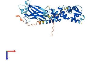 AlphaFold protein structure predicition of Mouse Recombinant Tdpoz4 Protein, UniprotID Q6YCH2